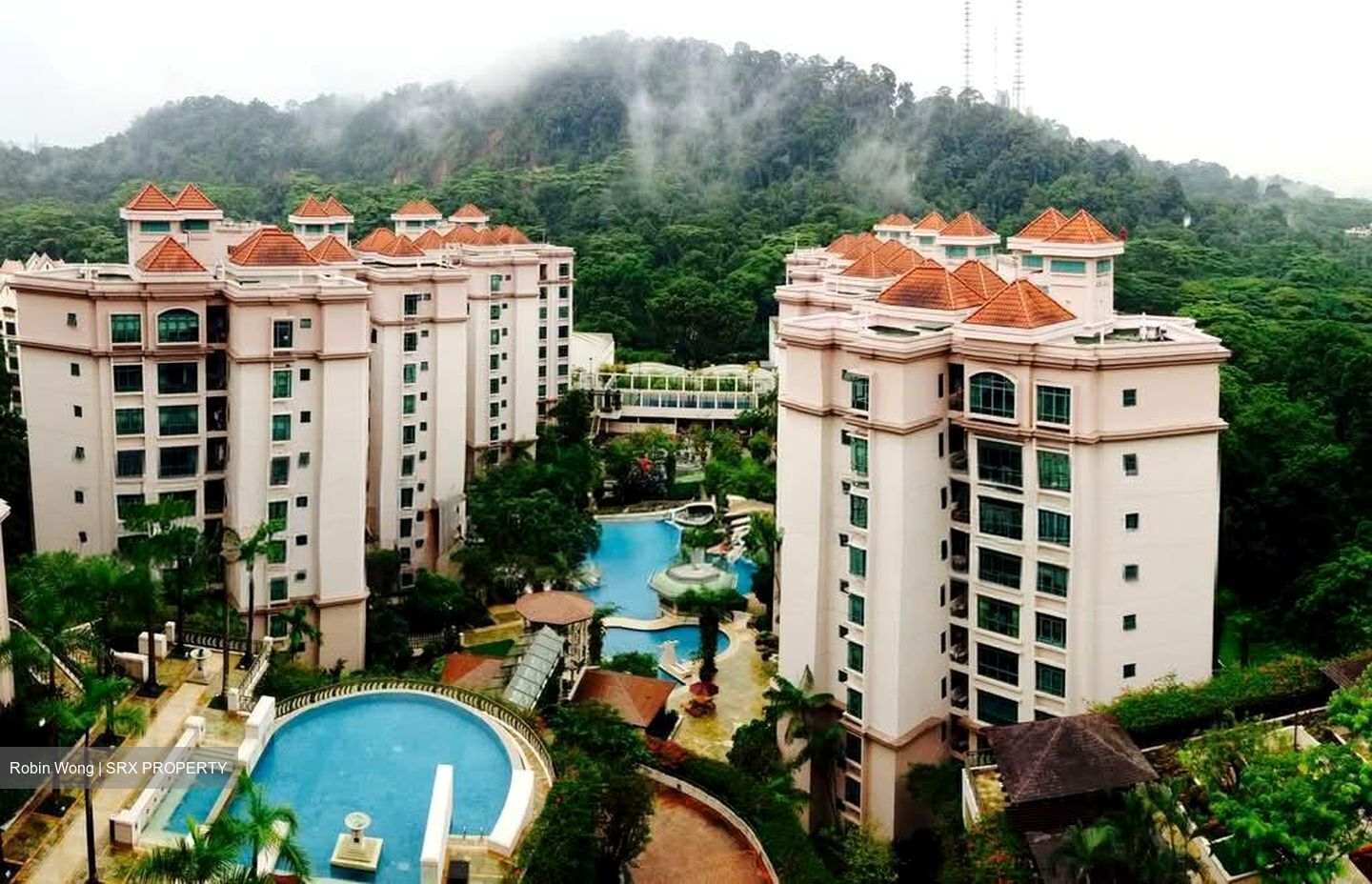 The Hillside (D21), Condominium #570612971